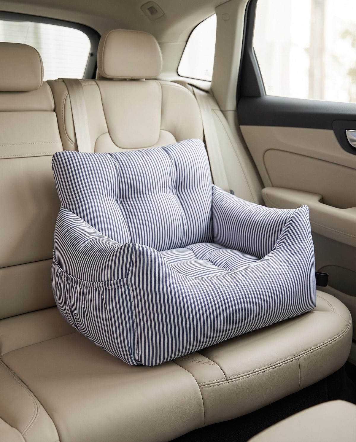 The Brighton on the back seat of a car